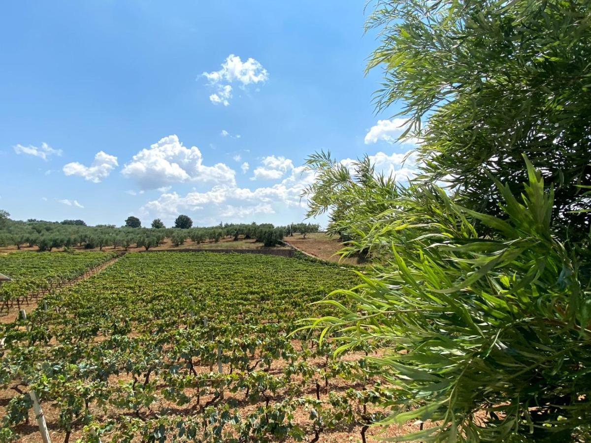 Tenuta Montanaro Locorotondo Exterior foto